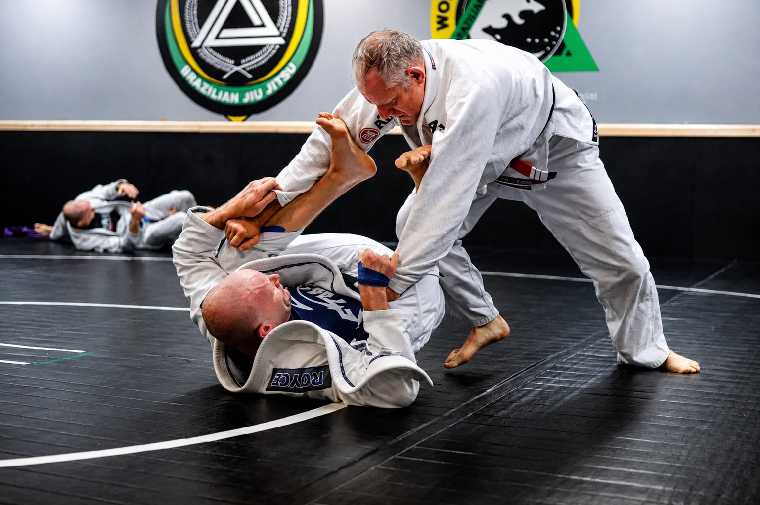 BJJ Training on the Mat