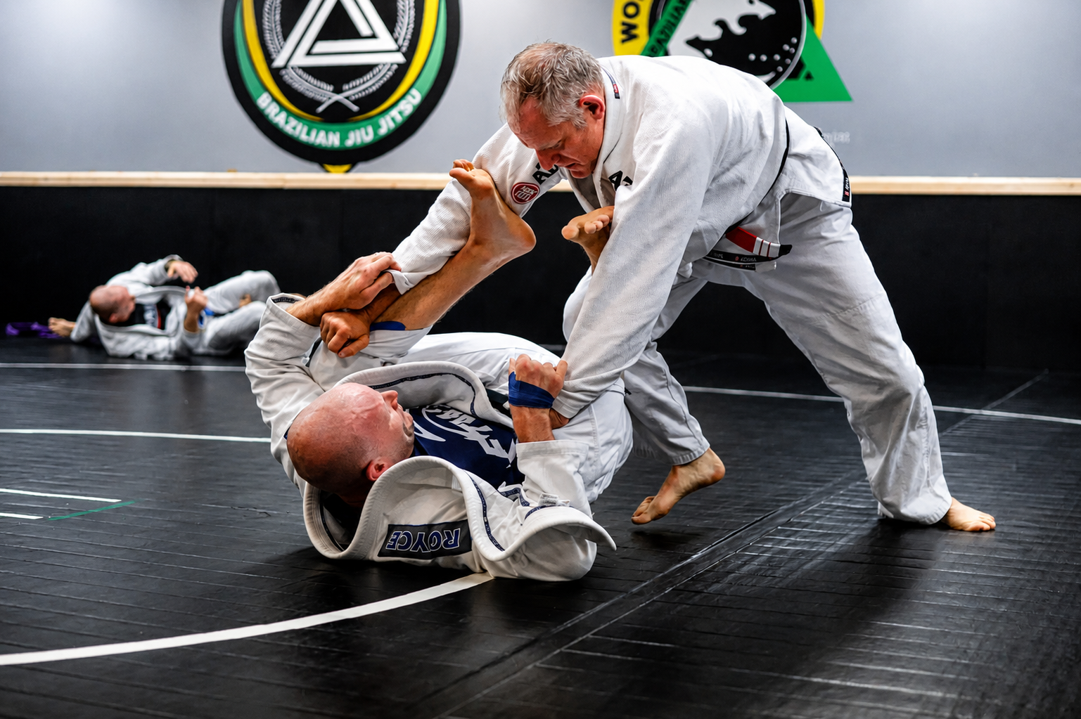 BJJ Training on the Mat